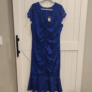 Thalia Sodi Royal Blue Lace Midi Dress